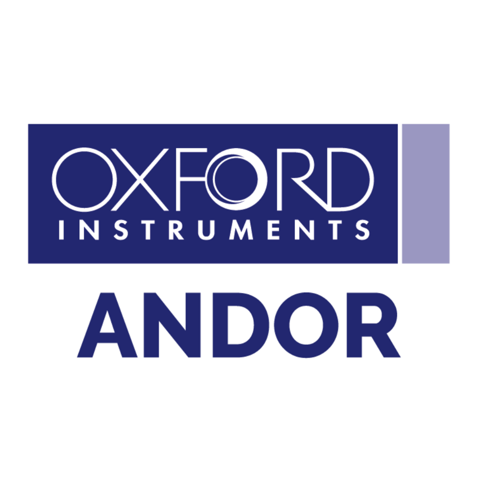 Andor Run market research